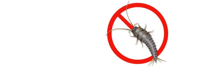 Skuteczne sposoby na wytępienie rybików z łazienki, które działają Skuteczne sposoby na wytępienie rybików z łazienki, które działają